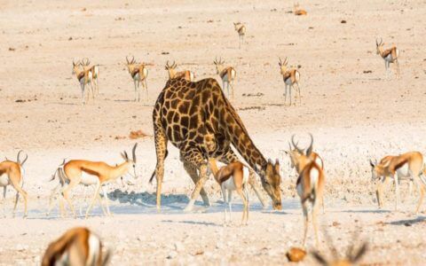 58 Day Nairobi to Cape Town Overland (Comfort) Overland